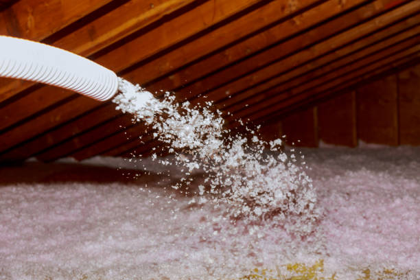 Best Commercial Insulation in Kingston, IL